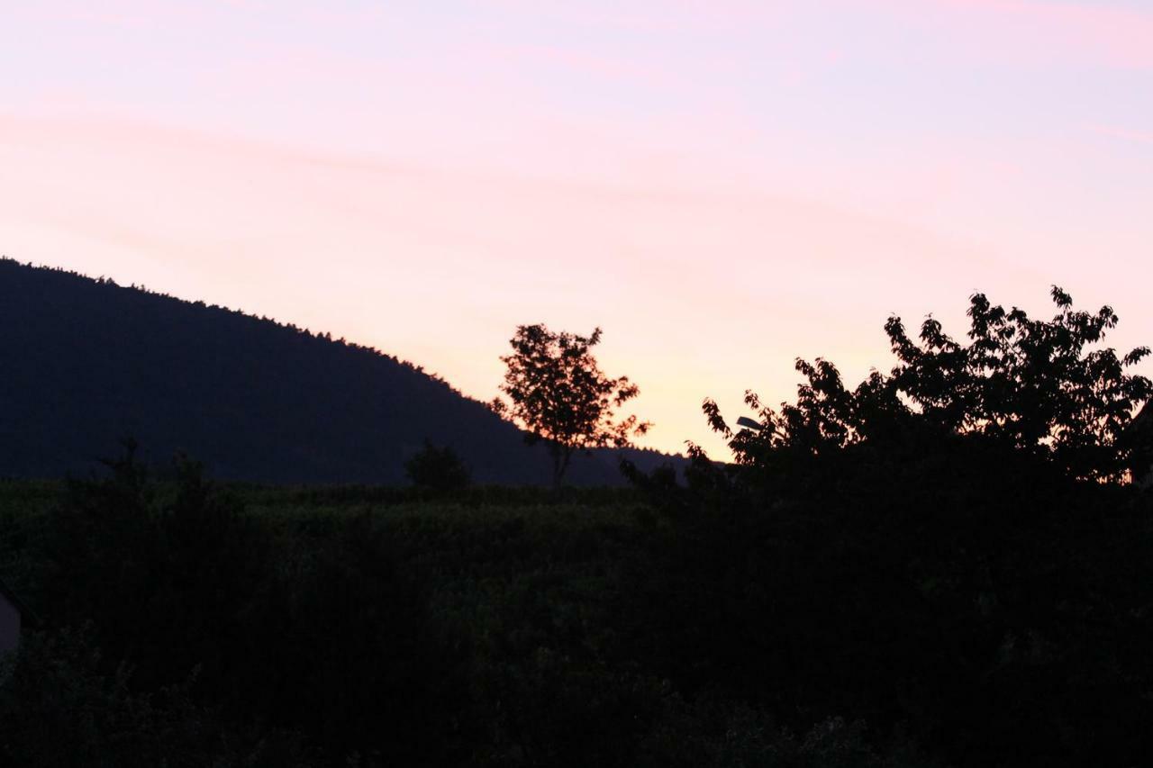 La Belle Alsacienne - Route Des Vins D'Alsace Otel Hattstatt Oda fotoğraf