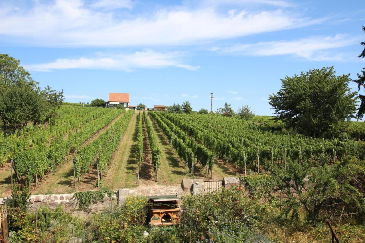 La Belle Alsacienne - Route Des Vins D'Alsace Otel Hattstatt Dış mekan fotoğraf